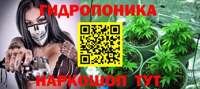 СК Камышлов