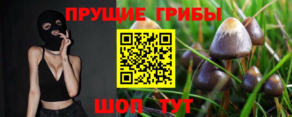 наркота  Вход с VPN  Галлюциногенные грибы Cubensis  Лосино-Петровский  Галлюциногенные грибы MAGIC MUSHROOMS 